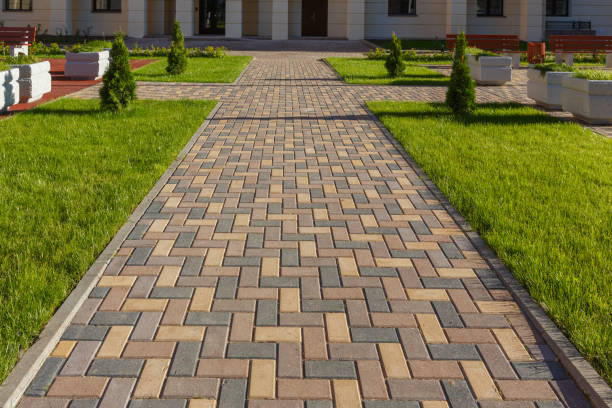 Best Driveway Paving Contractor  in Belvedere, CA